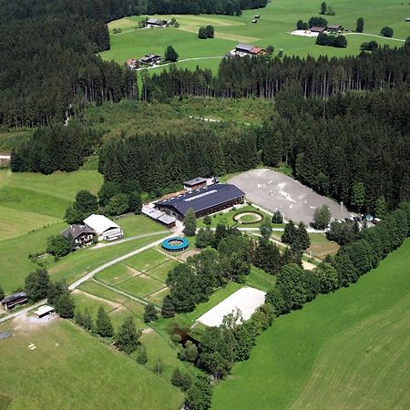 Ferienwohnung Reitgestuet Waldeck Saalfelden Buitenkant foto