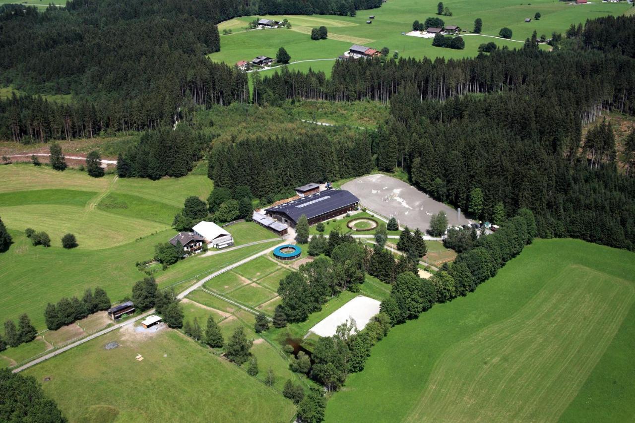 Ferienwohnung Reitgestuet Waldeck Saalfelden Buitenkant foto